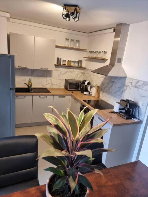 Appartement Vue Mer Avec Parking Gratuit Sur Place Bastia  Exterior photo